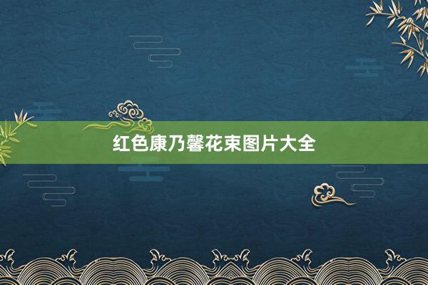 红色康乃馨花束图片大全