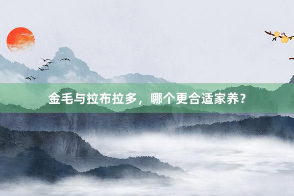 金毛与拉布拉多，哪个更合适家养？