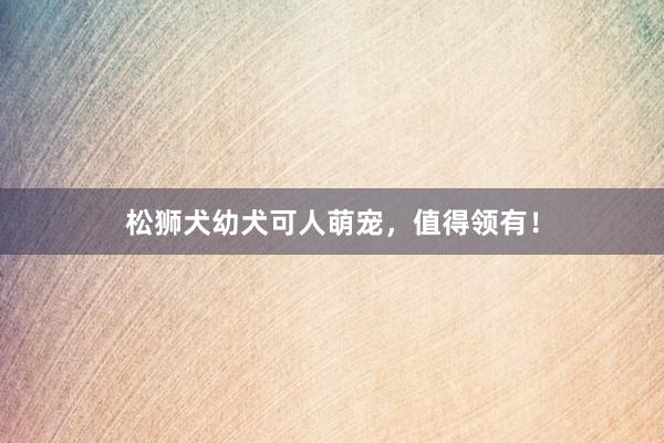 松狮犬幼犬可人萌宠,值得领有!